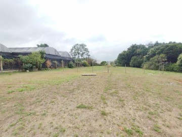 Lote - Venda - Loteamento Habitacional São Carlos 1 - São Carlos - SP
