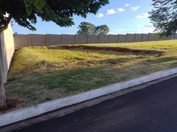 Lote - Venda - Recanto dos Sabias - São Carlos - SP