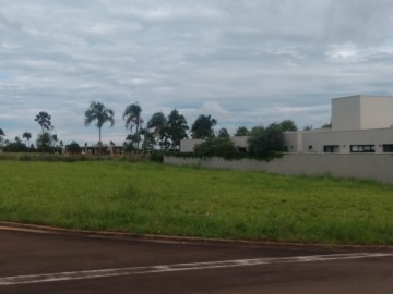 Terreno em Condomínio - Venda - Damha Golf - São Carlos - SP